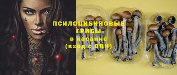 крисы Алексеевка