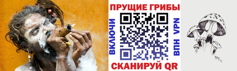 Псилоцибиновые грибы прущие грибы  Павловская 